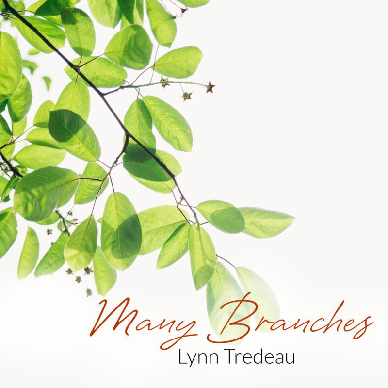 Many Branches -Physical Album